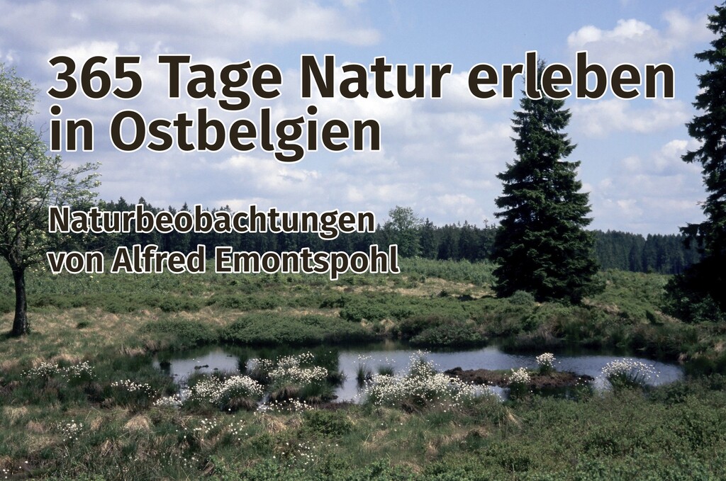 365 Tage Natur erleben in Ostbelgien 365 Tage Natur erleben in Ostbelgien